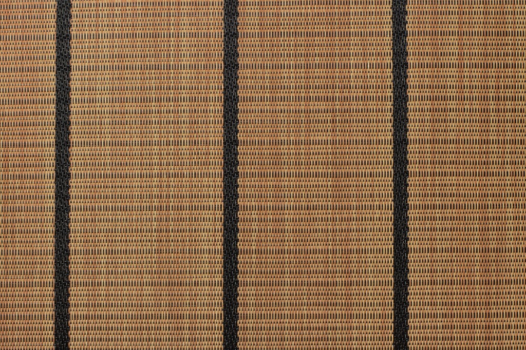Tan Black Stripe
